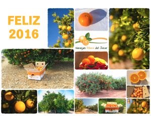 felicitacion-collage-año-nuevo-naranjas-ribera-del-jucar-2016